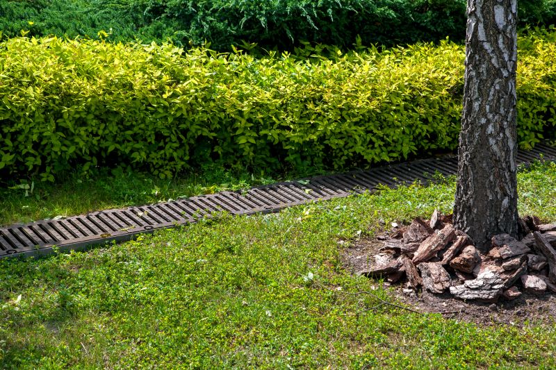 Landscape Drainage in Tuscaloosa, AL